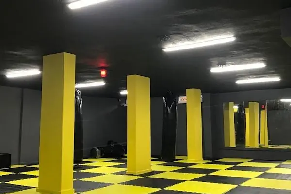 CESUR FIGHT ACADEMY