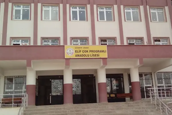 Araban Elif Çok Programlı Lisesi