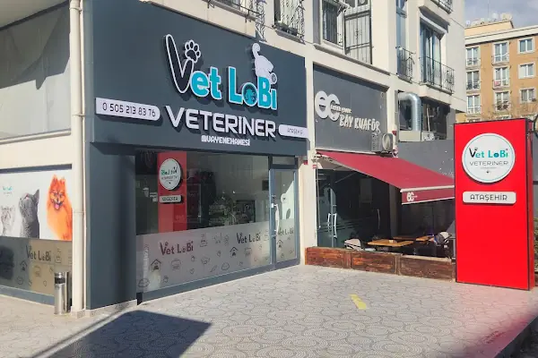 ATAŞEHİR 7/24 ACİL VETERİNER VET LOBİ VETERİNER KLİNİĞİ