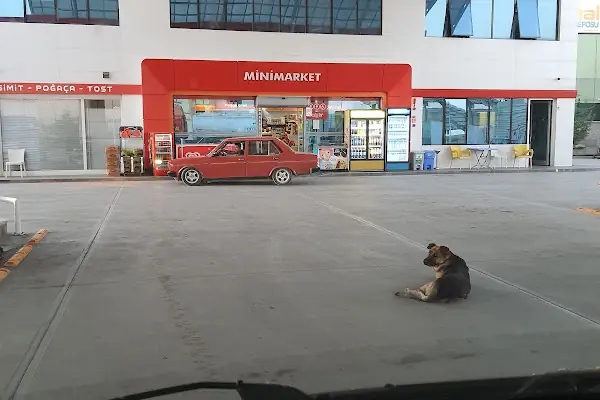 Lukoil