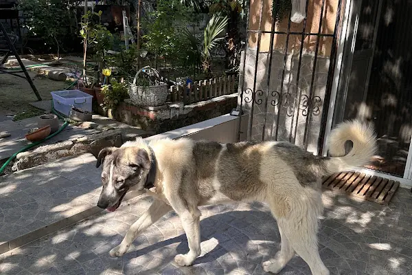 Demtaş Sitesi