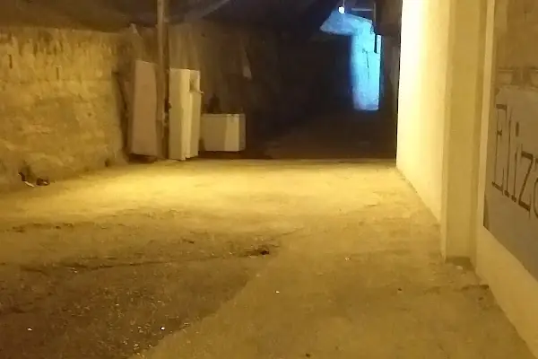 Derman Veteriner Kliniği
