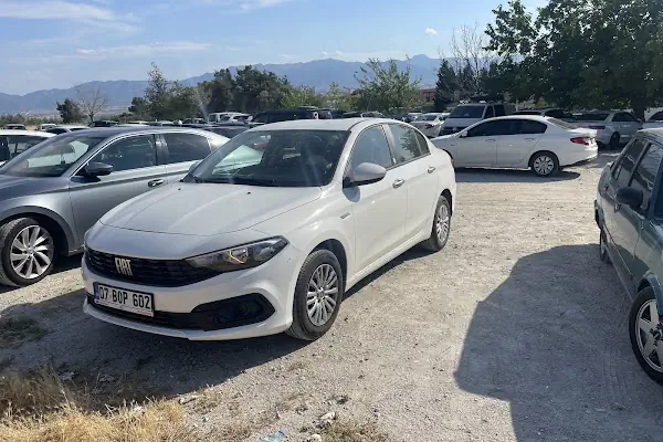AVC Global Car Rental
