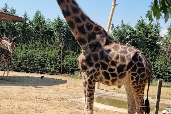 Faruk Yalçın Hayvanat Bahçesi ve Botanik Parkı