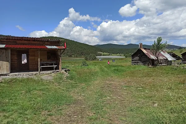Kamp Bozayı