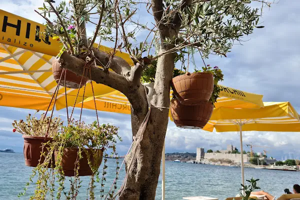 Churchill Bodrum