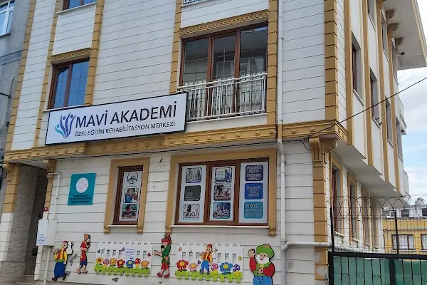 Mavi Akademi Özel Eğitim ve Rehabilitasyon Merkezi