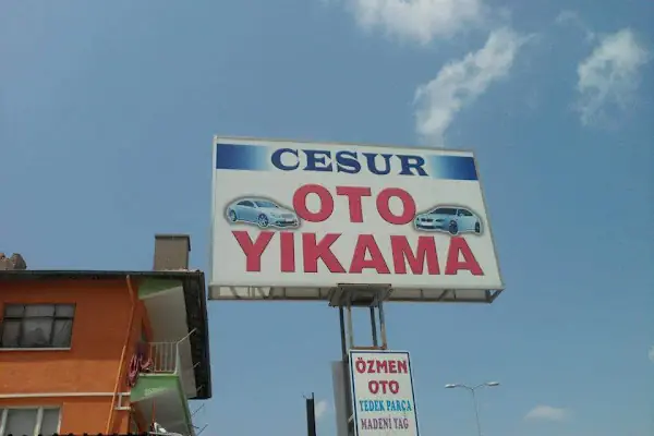 Cesur Oto Yikama
