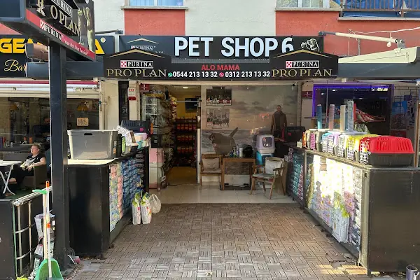 Pet Shop 6