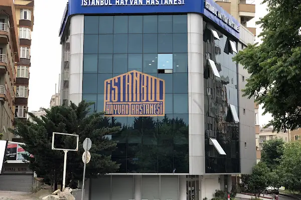 acıbadem ataşehir hastanesi
