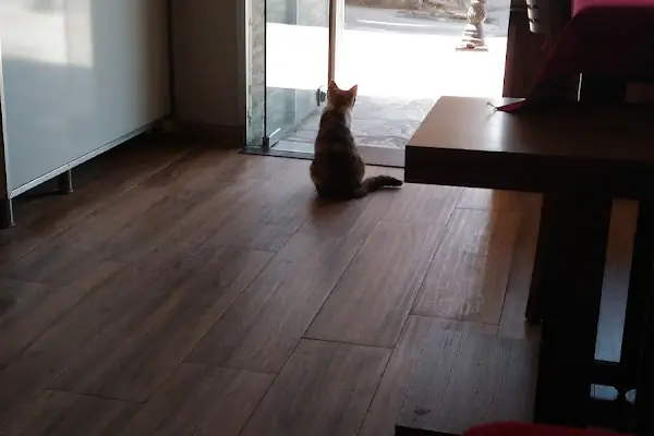 Gemlik Memur ve Memur Emeklileri Derneği Lokali