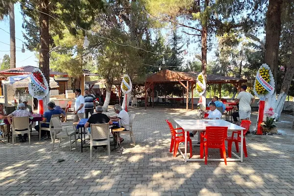 ÖĞRETMEN LOKALİ