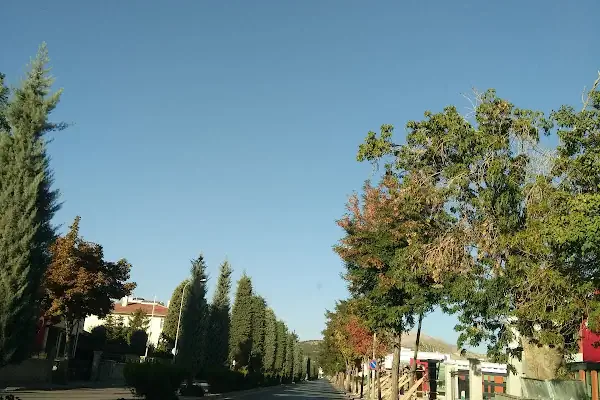 Çocuk Bahçesi
