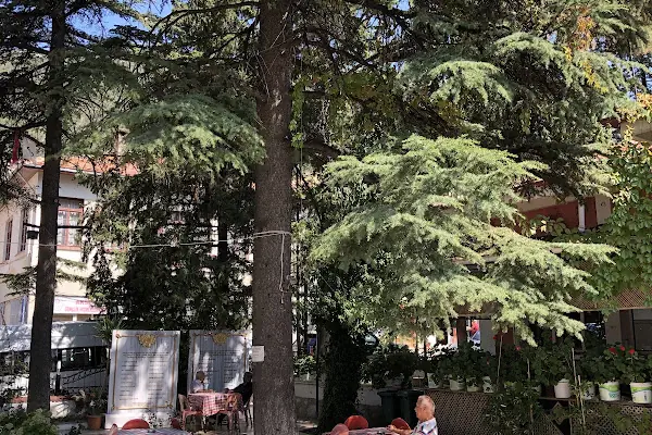 Cahit Vural Parkı
