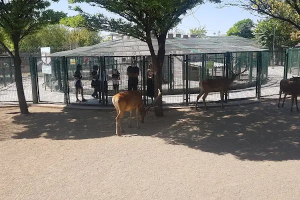 Evcil Hayvanlar Parkı