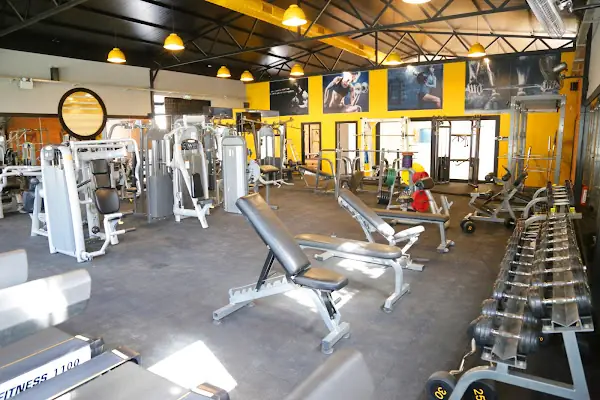 Fit Club