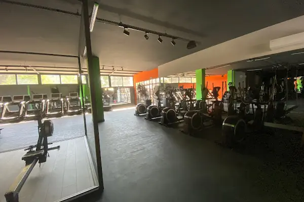 Vogue Fitness Club