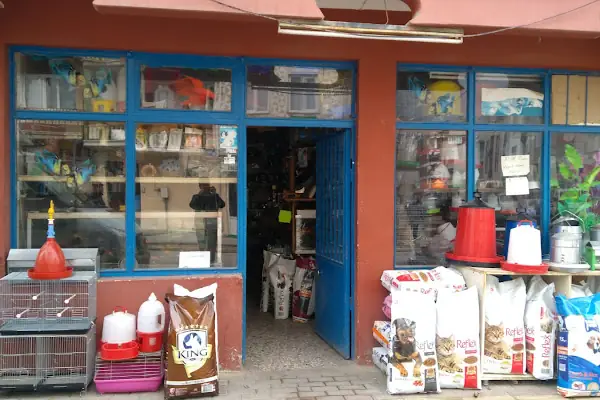 BİLGİN PETSHOP