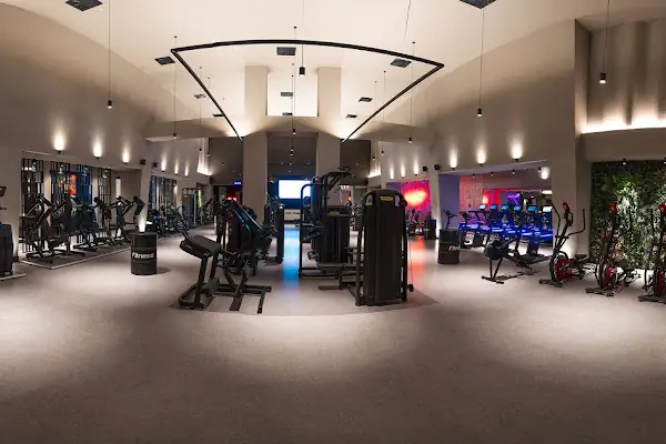 Orjin Fitness Palladium AVM
