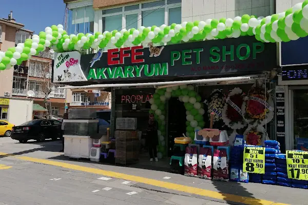 EFE AKVARYUM PETSHOP 2