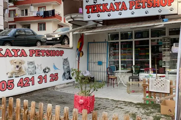 PURSAKLAR TEKKAYA PETSHOP