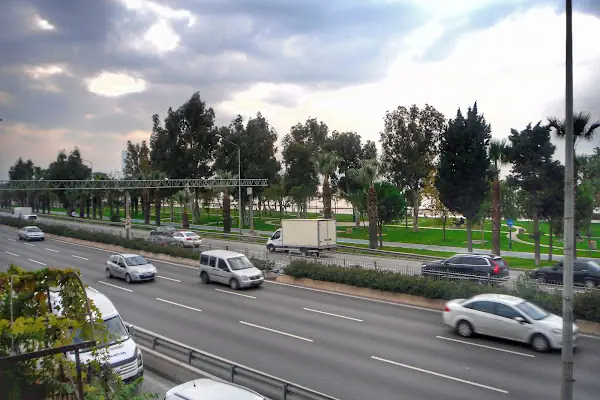 Bayraklı Sahil piknik akanı