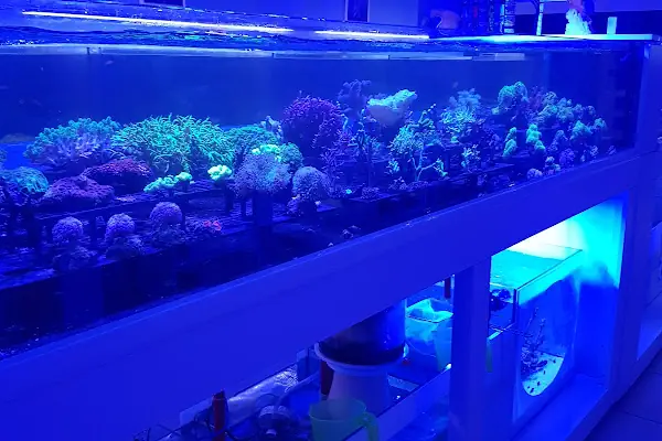 Emirhan akvaryum&amp;petshop
