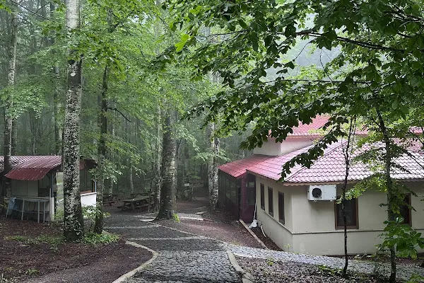 Eriklitepe Tabiat Parkı