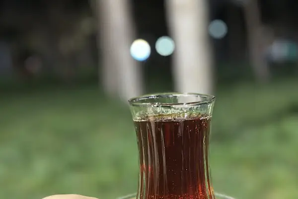 Akçakale kent ve mesire alanı