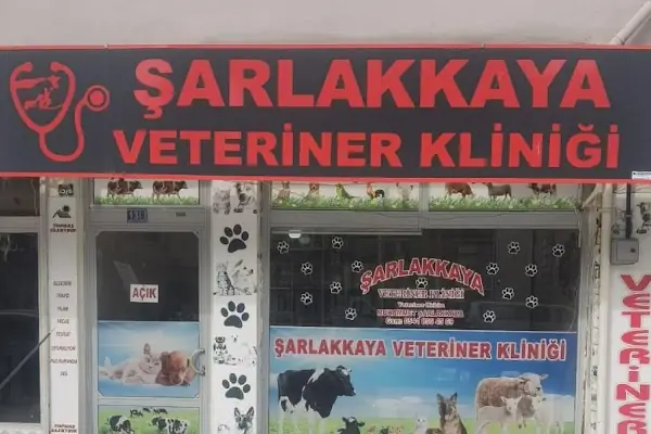 Akşehir Şarlakkaya veteriner kliniği