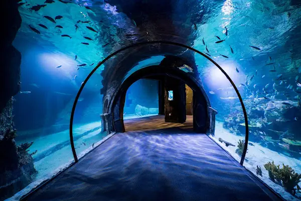Funtastic Aquariums İzmir