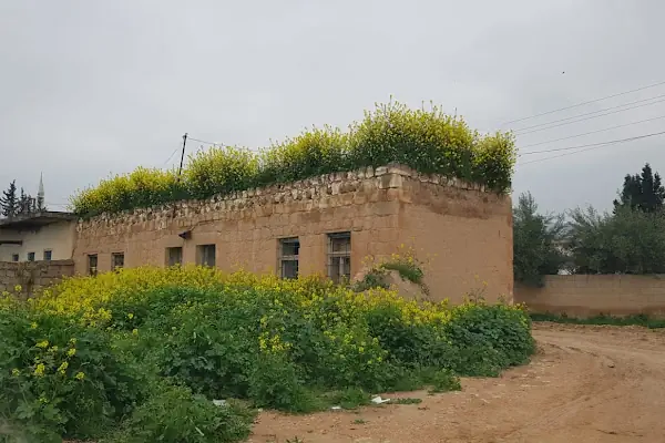 Çiftlik mezarlığı