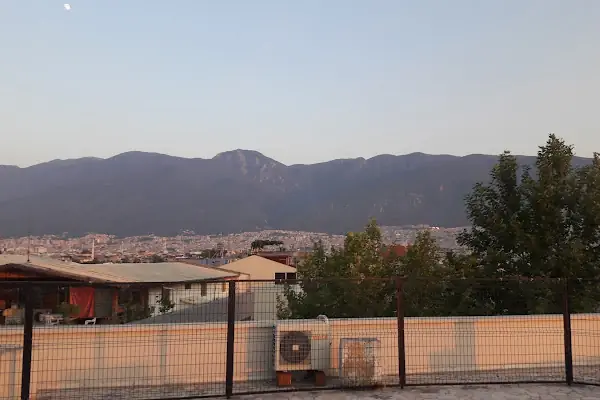 Alkan Düğün Salonu