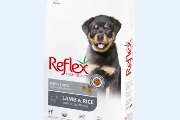 Sarıçam Petshop