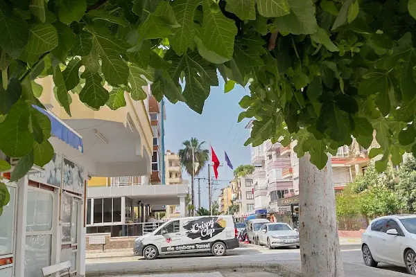 Eser Berber