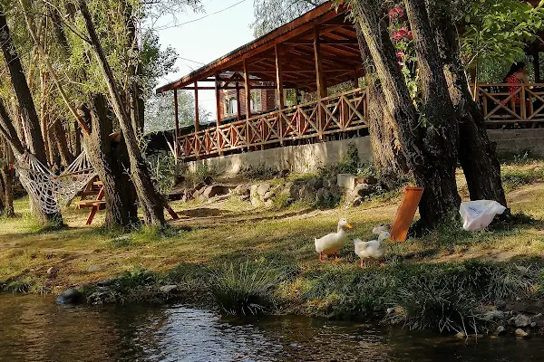 Balık Gölü Alabalık Üretim Tesisi-Artunç Alabalık