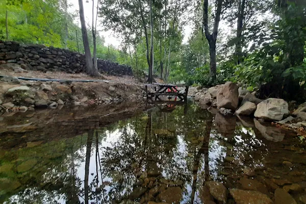 Çavdar mesire yeri piknik alanı
