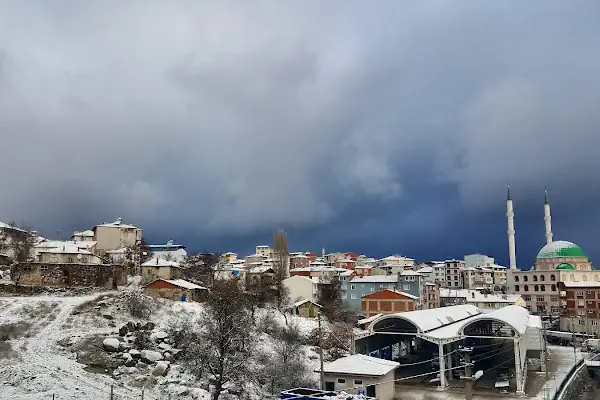 Büyükorhan Belediyesi