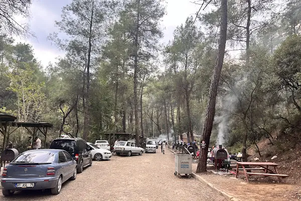 Yedigöze Milli Parkı - Piknik Alanı