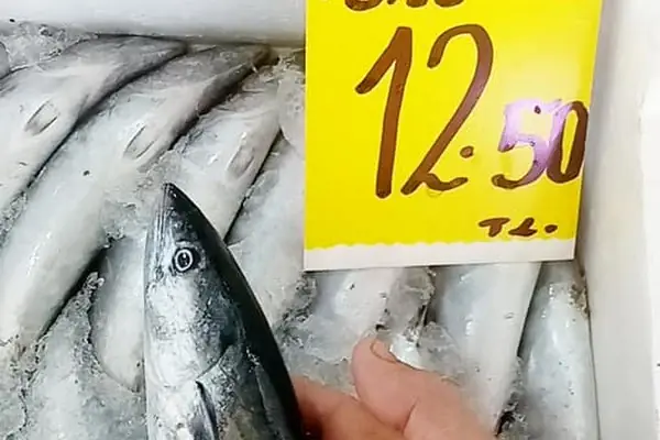 Çerkezköy Balıkçılık