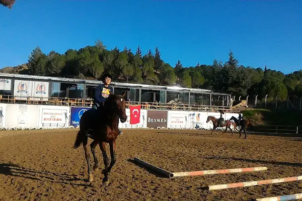 Süvari Binicilik