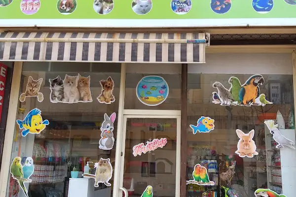 ibrahimli petshop