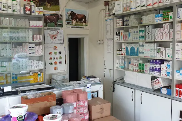 Veteriner Kliniği