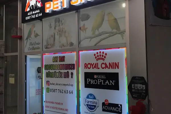 BULUT PET SHOP