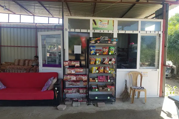 Paşa Camping