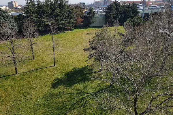 Avcılar Cami