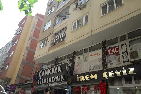 Çankaya Elektronik