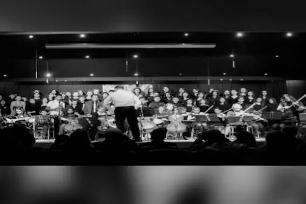 Melodi Sanat Akademisi