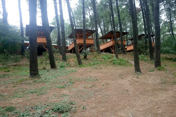 Tayakadın Mesire Yeri