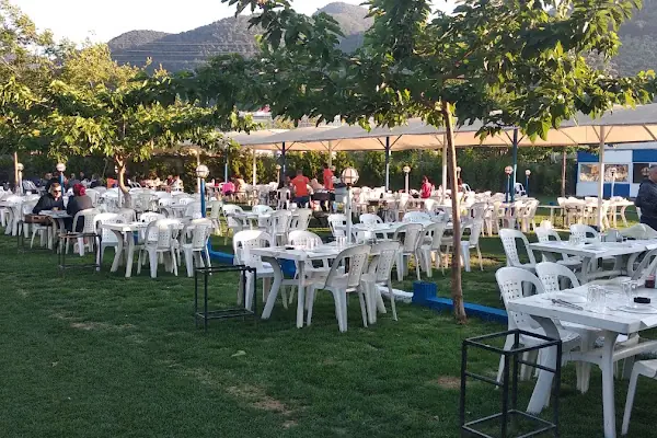 Dut Dibi Et Mangal
